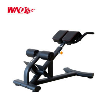 WNQ Evergreen power Fitness Equipment Power Single Station Roman chair F1-7093