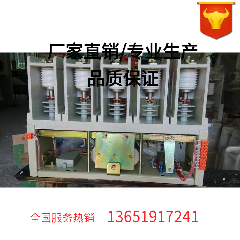 高压交流真空接触器CKG4-400/12-5高压接触器CKG4-12/400-5L模块|ru