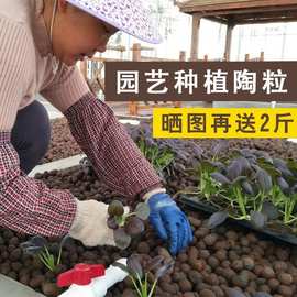 多肉无土栽培价格 最新多肉无土栽培价格 批发报价 价格大全 阿里巴巴