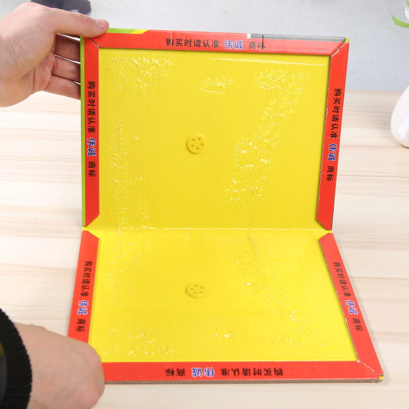 8407741599_1775324984