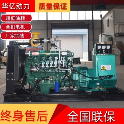 Manufactor supply Biogas Natural gas Generators 50kw Biogas generator Gas Generators