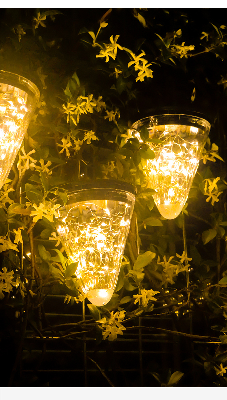 O1CN01BtyVtJ2GS0LenD7km_!!3197