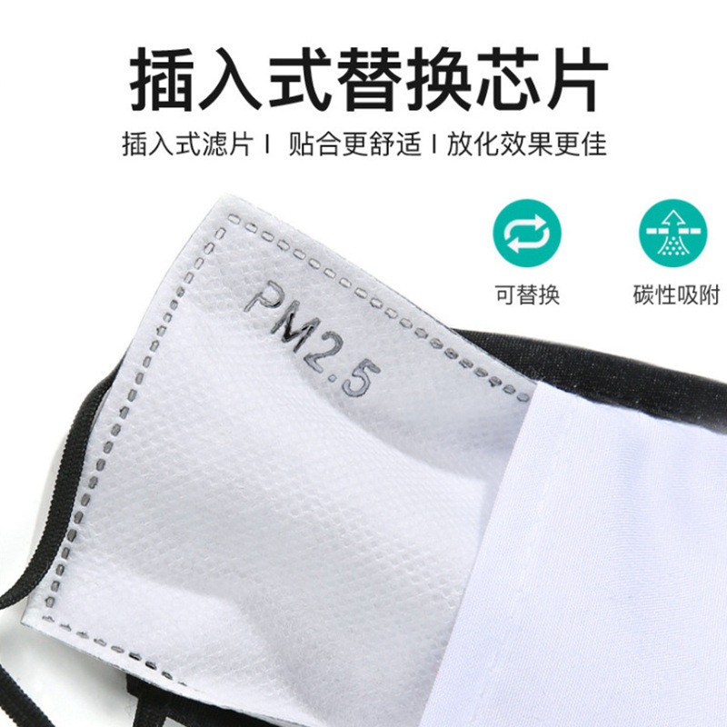pm2.5 filter.jpg