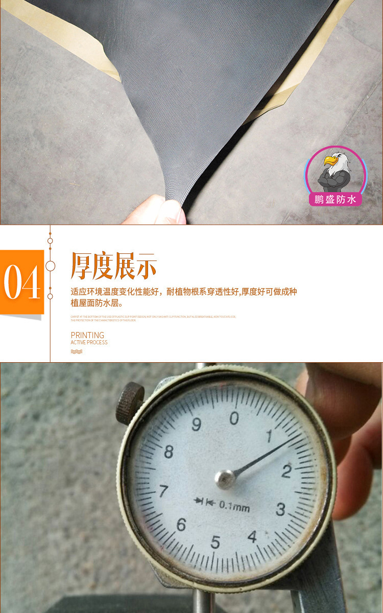 22581668666_2102261503.jpg?__r__=1604388542162