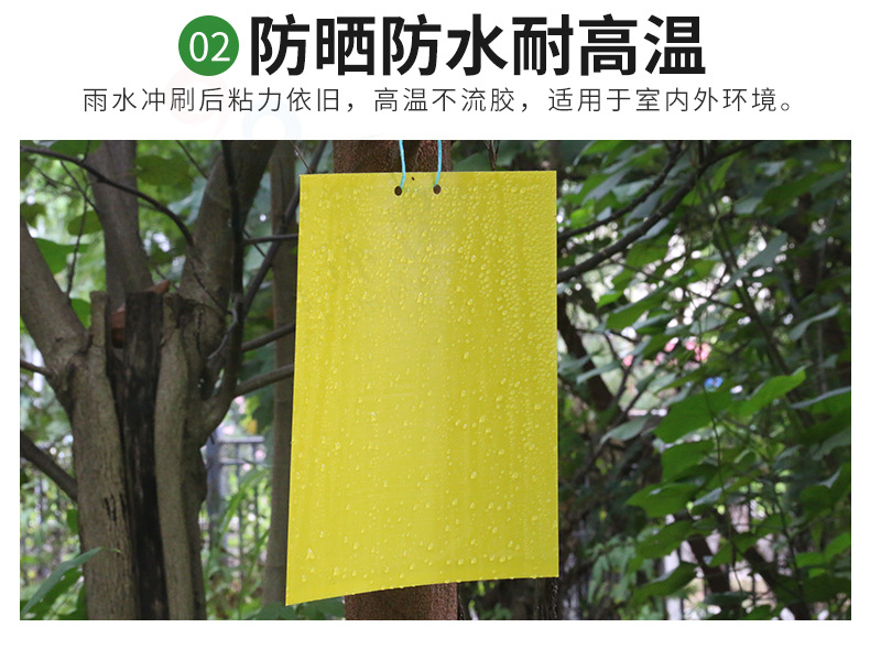 双面粘虫板详情_05.jpg