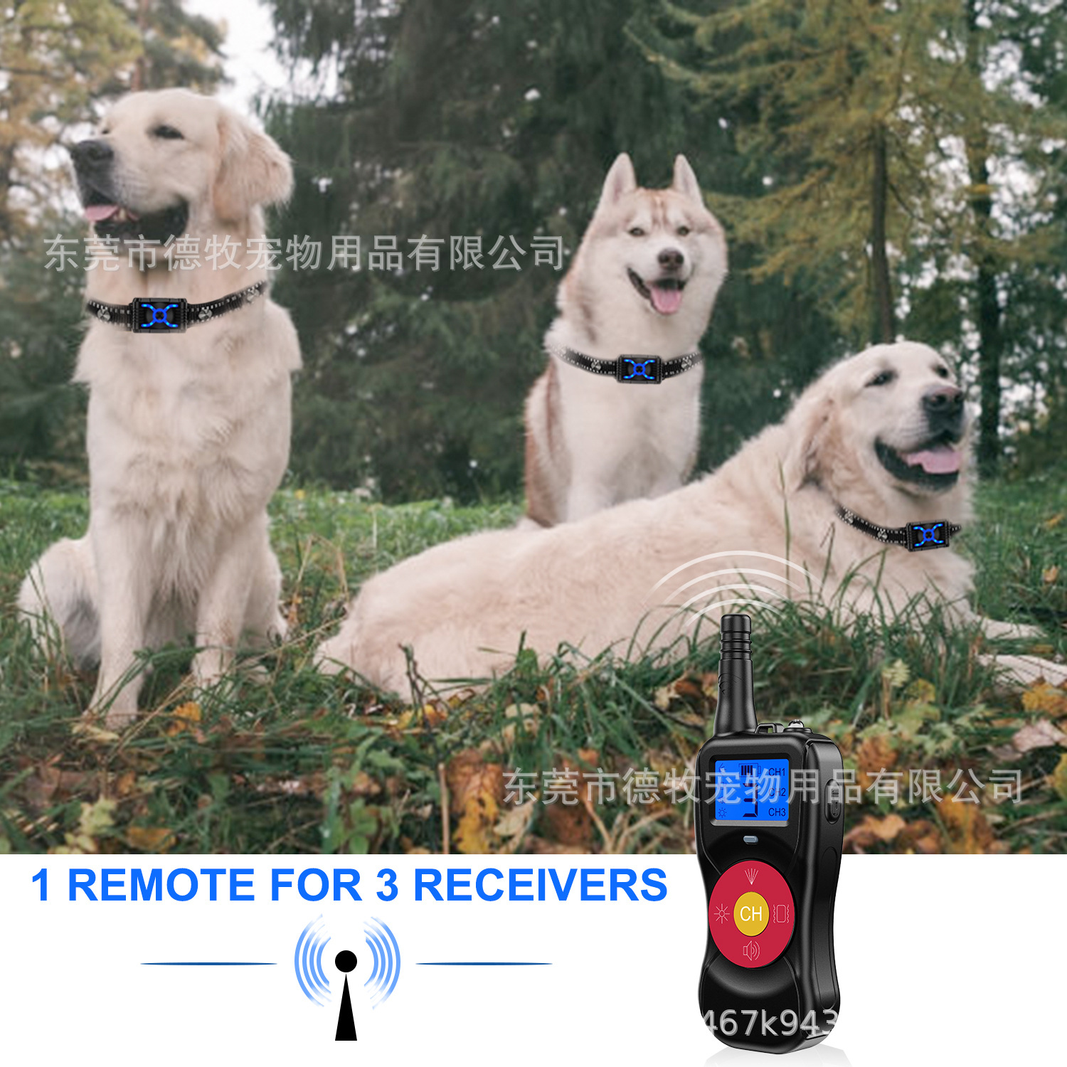 微信图片_20200628151220