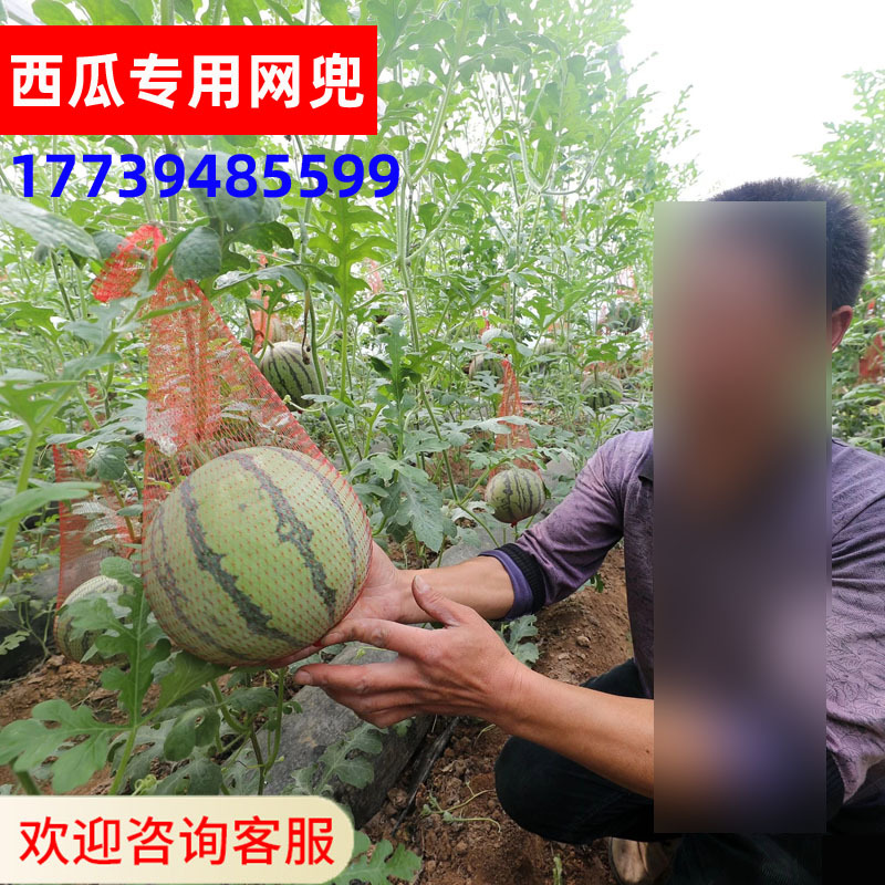 厂家供货 吊西瓜网兜 塑料网袋水果网兜蔬菜网袋编织袋包装网眼袋