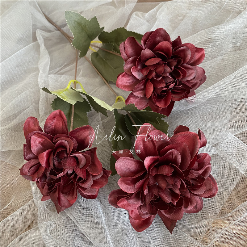 3 autumn colorful flowers
