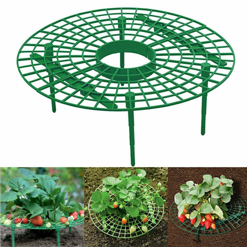 草莓架 阳台种菜架 植物爬藤支柱 园艺支架