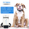 factory wholesale Smart Pet GPS location Tracker Kitty Sheep Hound Dog collar