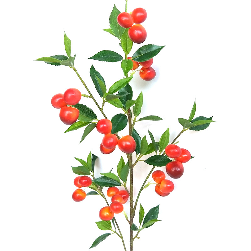 XRG-023 大樱桃1米 (4).jpg