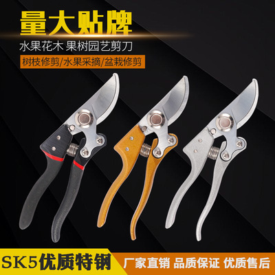 V10佐木藤修枝剪SK5粗枝剪園藝剪刀花園剪修枝剪刀花剪園林樹枝剪