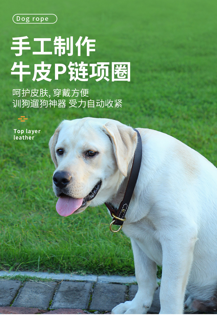 狗绳详情页_01.jpg