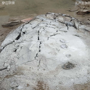 Դ�^�S؛ ��ʯ�� ʯ���и� �o���鄩 �o�ф�