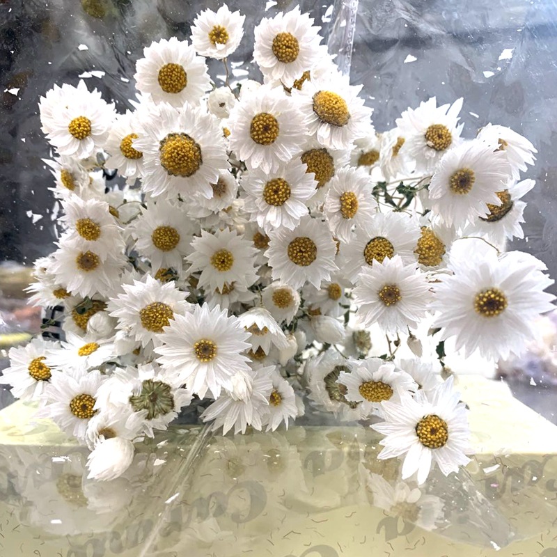 微信图片_20200408144218