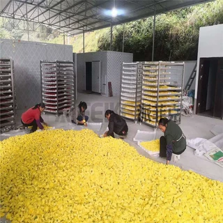 25匹婺源黄菊空气能烘干机 菊花热泵烘干房 胎菊智能省电干燥设备