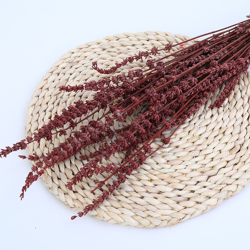 0f8cf110a53b6590ebb257382ddc4b