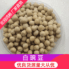 source Manufactor White peas Good White peas Grain Coarse Cereals Bean paste Dry peas peas wholesale