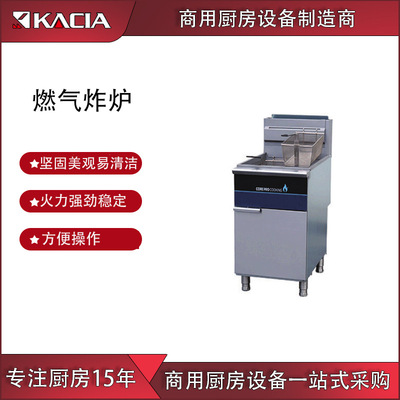 Manufactor Direct selling commercial Stainless steel Double cylinder French fries Fried chicken burger Snack bar Gas Fryer