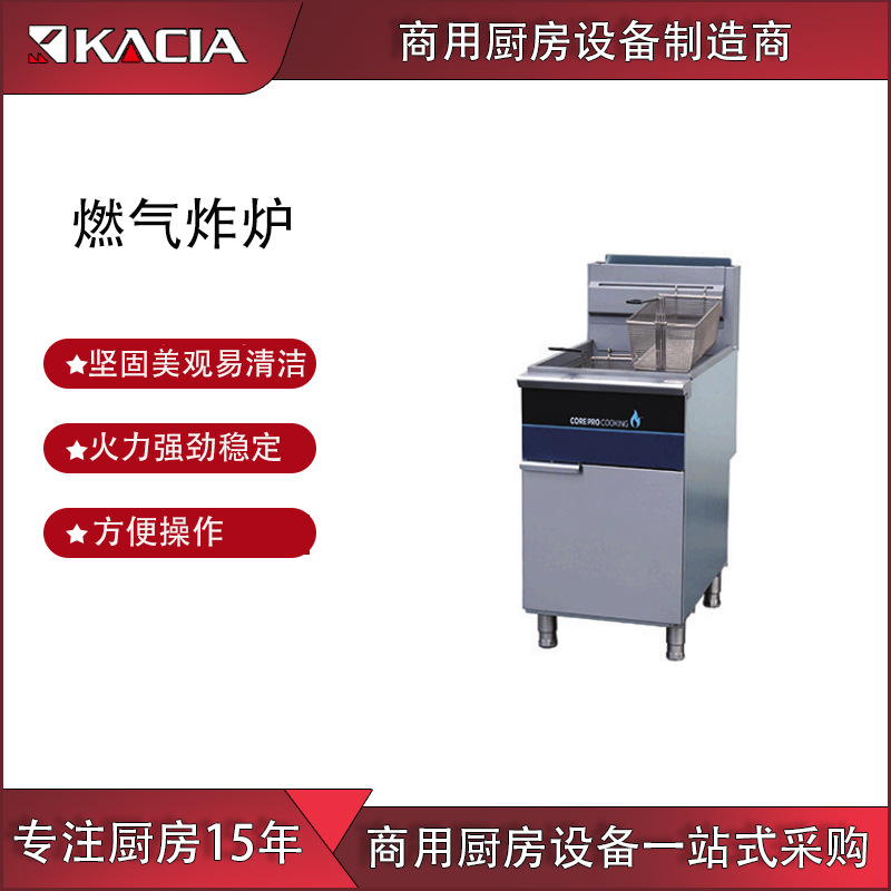 Manufactor Direct selling commercial Stainless steel Double cylinder French fries Fried chicken burger Snack bar Gas Fryer