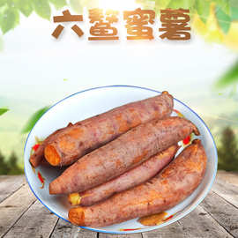 福建漳州六鳌红薯 代发5斤新鲜甜粉糯沙地红蜜薯番薯烤地瓜洋芋头