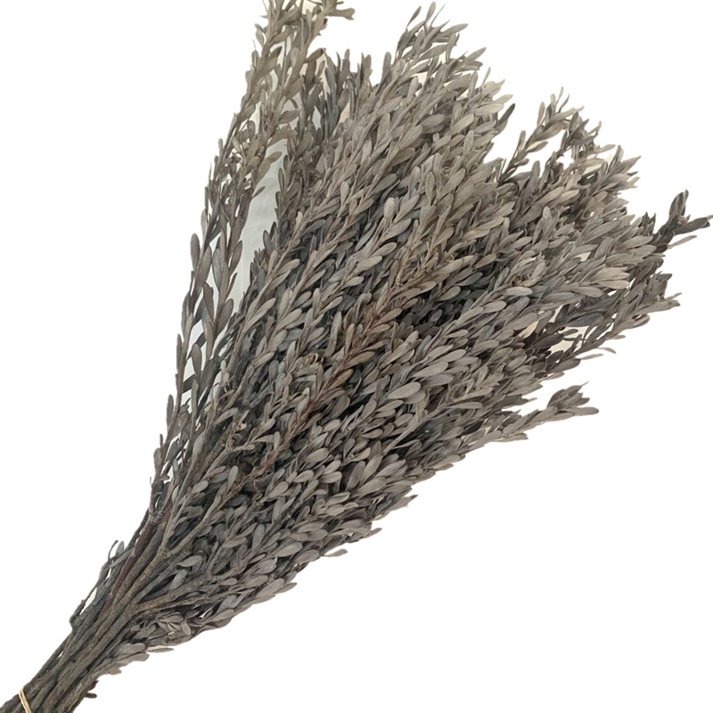 微信图片_20200423120903