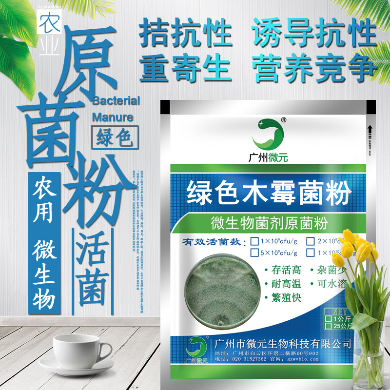 木霉菌_木霉菌生产厂家_绿色木霉20亿_微元优质绿色木霉 菌粉20亿