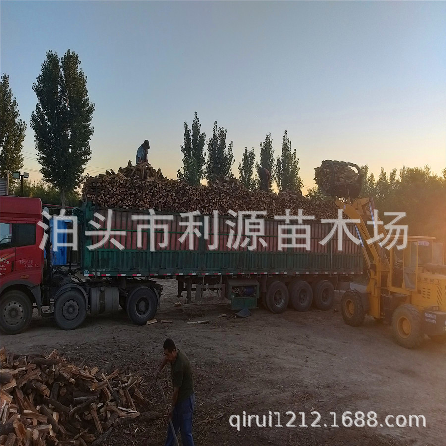 烤鸭烤肉枣木柴