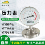 厂家现货不锈钢压力表隔膜压力表适用范围广耐震高精密压力表