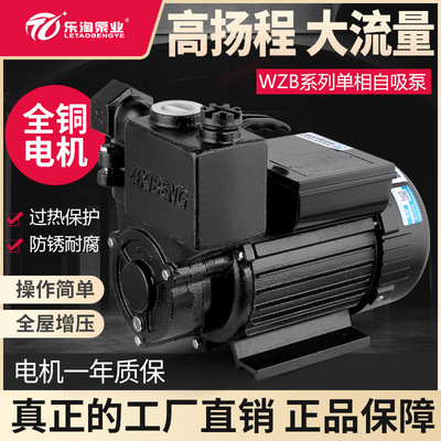 乐淘家用ZDB单相自吸泵空调泵煤改电抽井水泵自来水管道增压泵