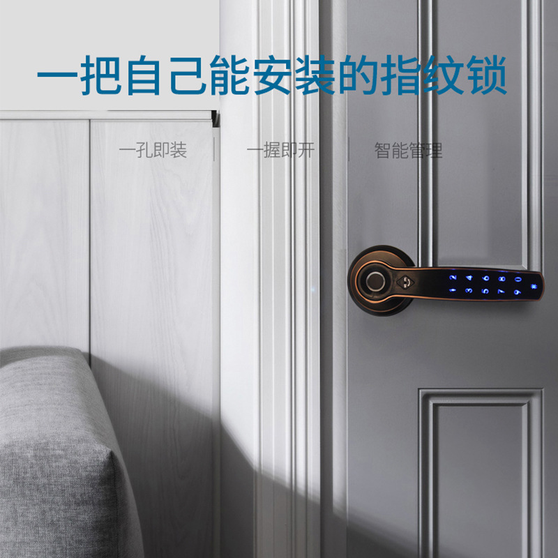 锁神跨境TTlock卧室指纹锁一握开室内门球形锁家用木门房门执手锁