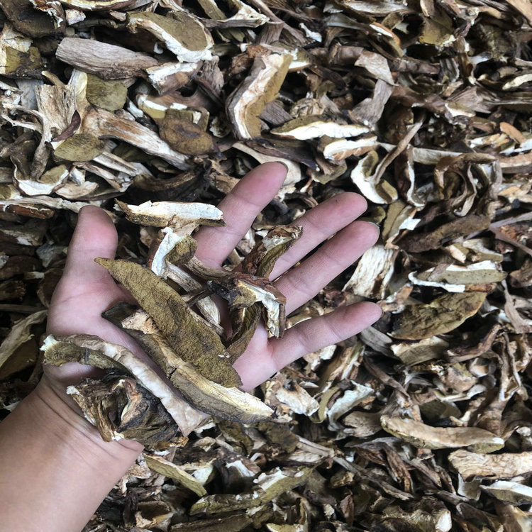 微信图片_20201005131742