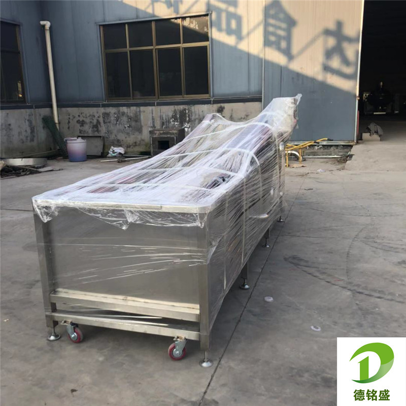 软包装袋气泡喷淋清洗机 果蔬清洗线厂家 生菜苦菊清洗机