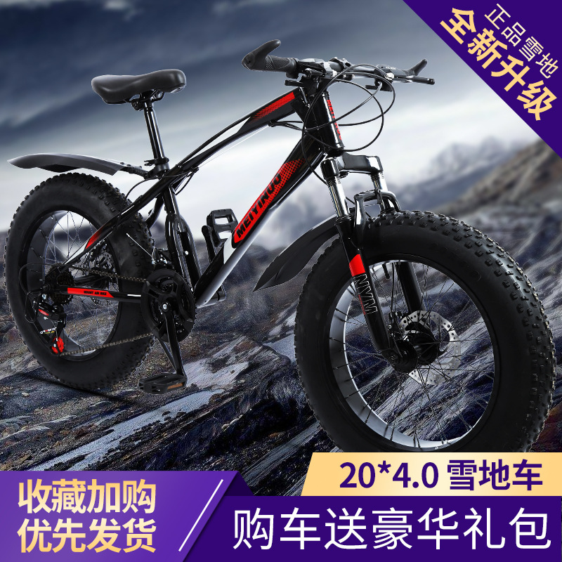 厂家供应20寸双碟刹4.0宽轮胎雪地沙滩车户外男女骑行越野自行车