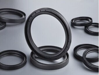 Изготовитель подгонял TC9013012/13,9013513,9212012,9510513NBR Скелет масляное уплотнение