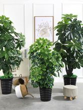 廠家直銷仿真樹發財樹裝飾植物室內假盆栽客廳花大型落地綠植塑料