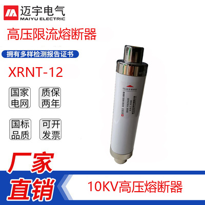 廠家直銷10KV熔管熔芯XRNT-12/31.5A戶內高壓限流熔斷器負荷開關