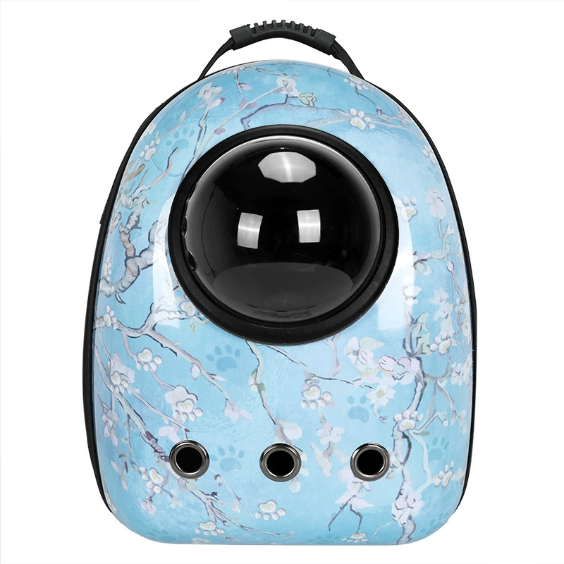 Space handheld breathable travel backpack to go out for leisure