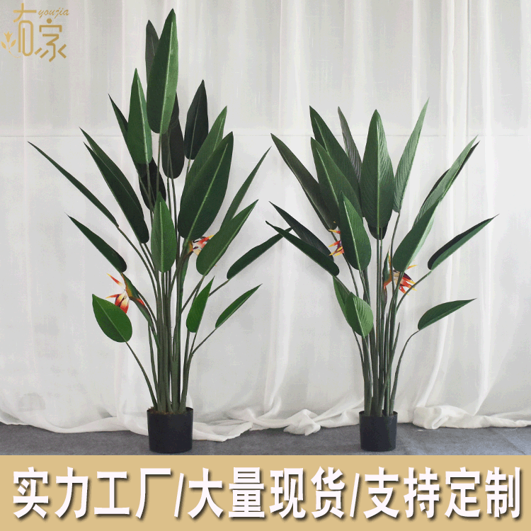 Simulación nórdica Planta verde Pájaro del paraíso Planta en maceta Decoración de interiores a gran escala Árbol falso Planta de simulación de canna