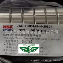 日本干泵真空泵分子泵固體潤滑軸承 SI/U-6004A9-H-20S01 GVS循環