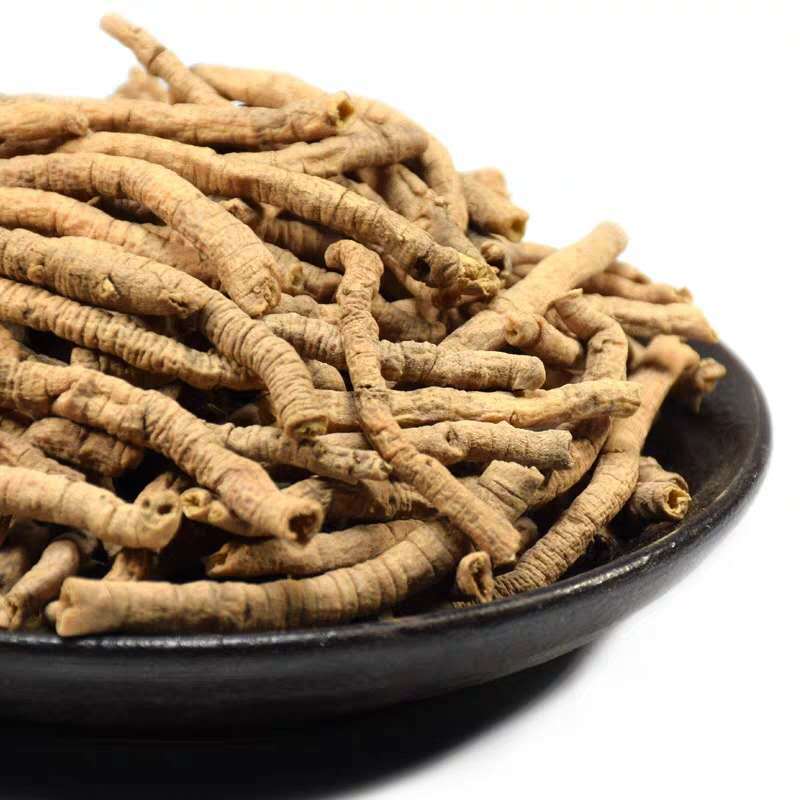 全抽芯远志筒新货不熏染农产品道地原料批发远志磨粉沫远志肉-阿里巴巴