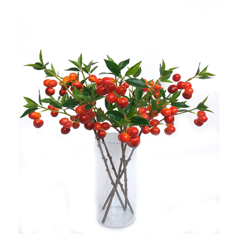 XRG-024 小5叉大樱桃0.5米  (3).jpg