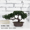Factory Direct Sales Simulation Welcome Pot Pot Pot Popular Simulation Large Simulation Pine tree Bonsai Green Plants