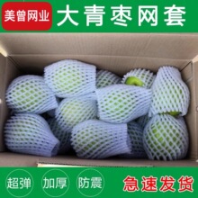 水果网套包装网保护套百香果柑橘沙糖桔网套袋沃柑泡沫网批发