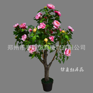 ����ĵ������ ����ֲ��Gֲ�Ҿ��b� ����٘��ĵ���� ����Wʽ