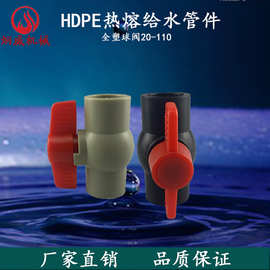 PE全塑球阀 PE阀门 20 25 32 4分 6分  1寸 给水管饮用水管材管件