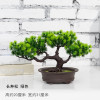 Factory Direct Sales Simulation Welcome Pot Pot Pot Popular Simulation Large Simulation Pine tree Bonsai Green Plants