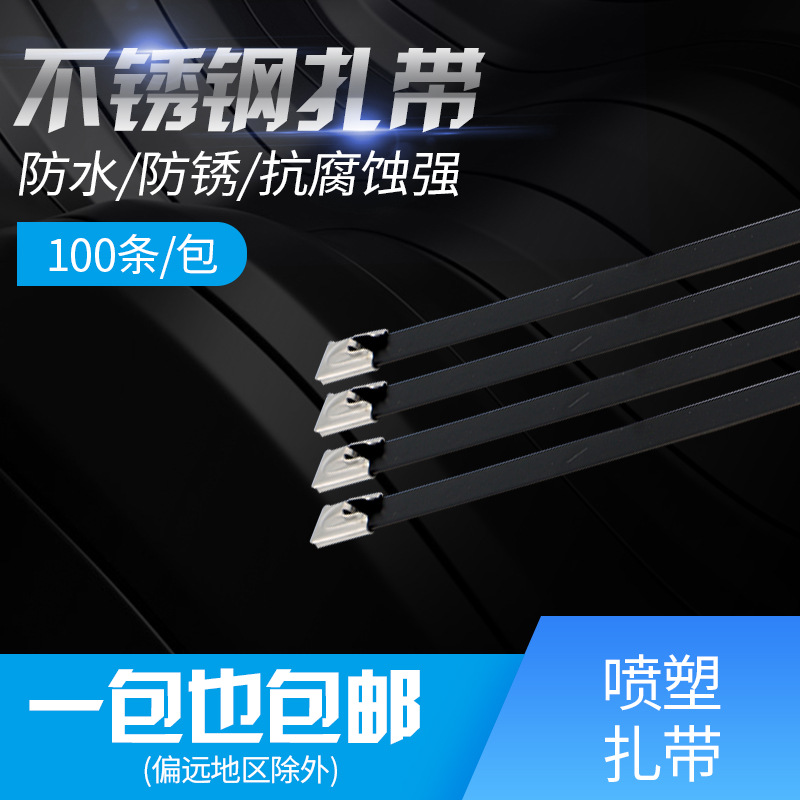 厂家304不锈钢扎带喷塑自锁式4.6X300船用桥架白钢不锈钢扎带可订