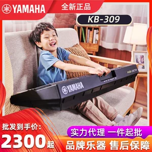 Электронная клавиатура KB309 KB308 KB209 61-клавишная электронная клавиатура электронная клавиатура