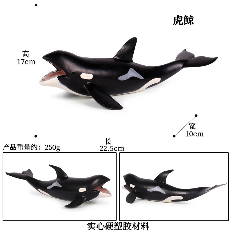 6004虎鲸